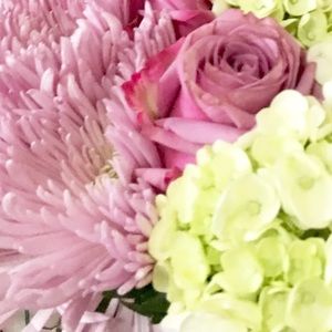 Meet your Posher, Linda